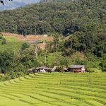 Les réserves naturelles à ne pas manquer en Thaïlande